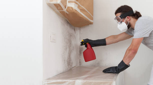 Professional Bathroom Mold Removal technician working in Magnolia, TX